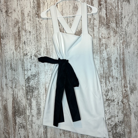 PINKO
Fragola Abito Cady Dress Size 2 NWT - Picture 2 of 10